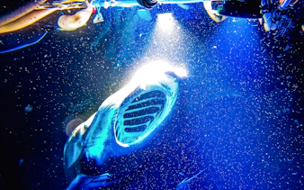Snorkeler observing manta ray underwater during Kona Manta Ray Snorkeling Tour.