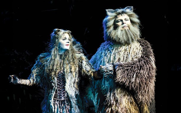 Sydney Opera House illuminated at night with "CATS" musical banner displayed prominently.