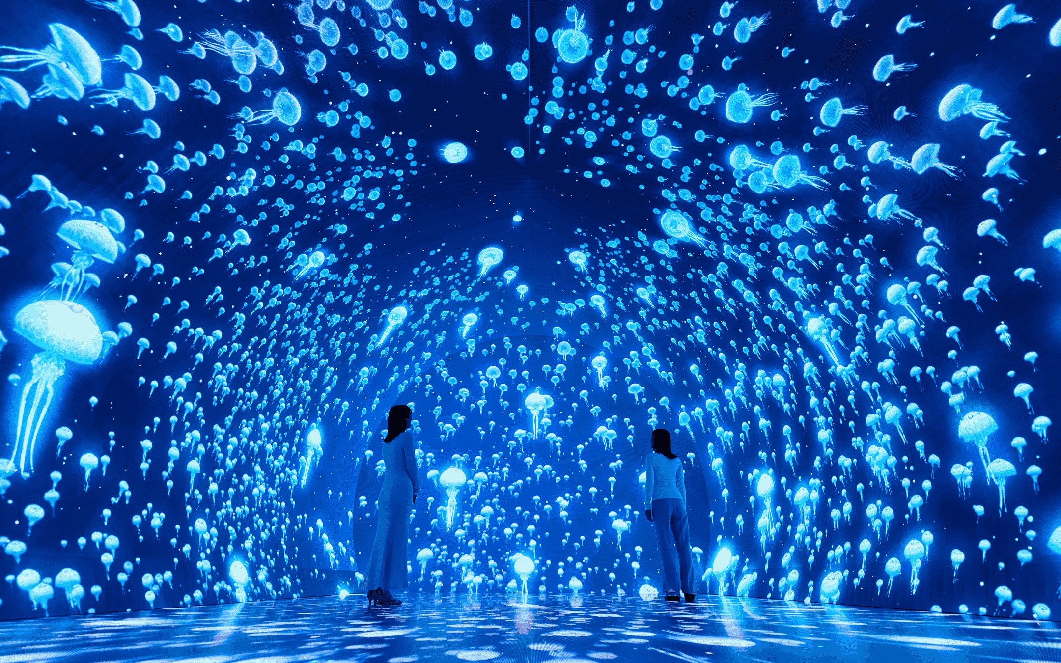 Immersive jellyfish display at Wonderia YOKOHAMA with two visitors observing.