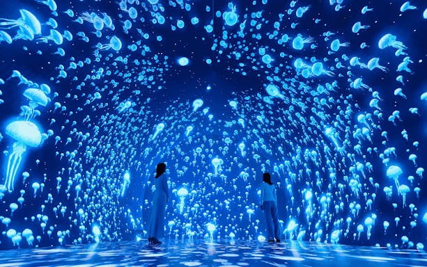 Immersive jellyfish display at Wonderia YOKOHAMA with two visitors observing.