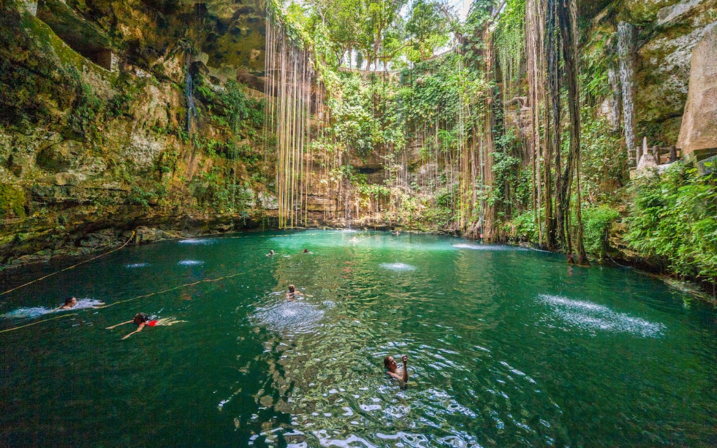 Tourists swimming in a lush Cenote pool surrounded by vines and rock walls in Mexico.