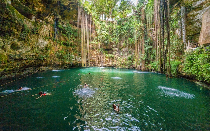 Tourists swimming in a lush Cenote pool surrounded by vines and rock walls in Mexico.
