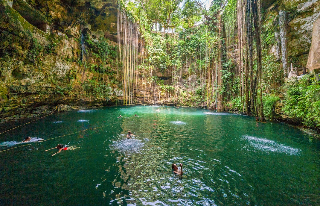 Tourists swimming in a lush Cenote pool surrounded by vines and rock walls in Mexico.