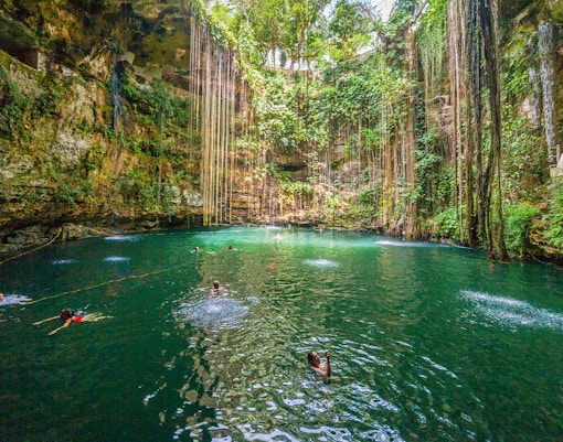 Tourists swimming in a lush Cenote pool surrounded by vines and rock walls in Mexico.