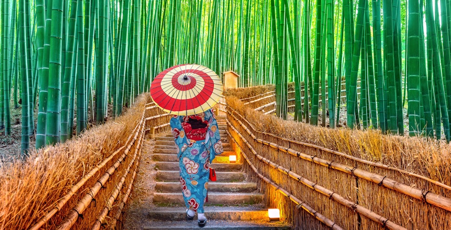 Rondleidingen Kyoto vanuit Osaka
