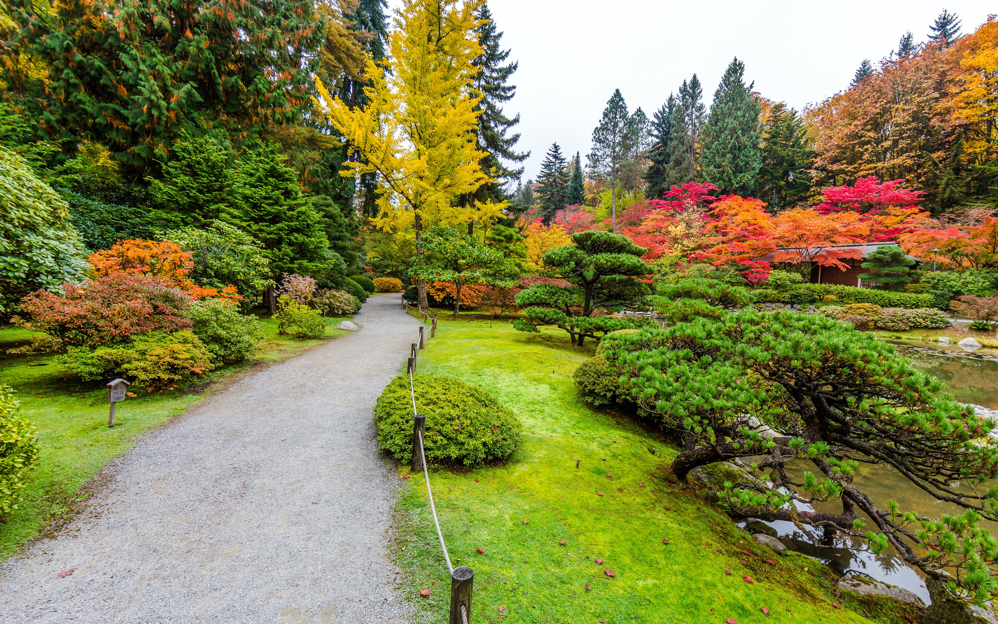 Pathway through vibrant autumn foliage at Green Lake Park, Seattle.