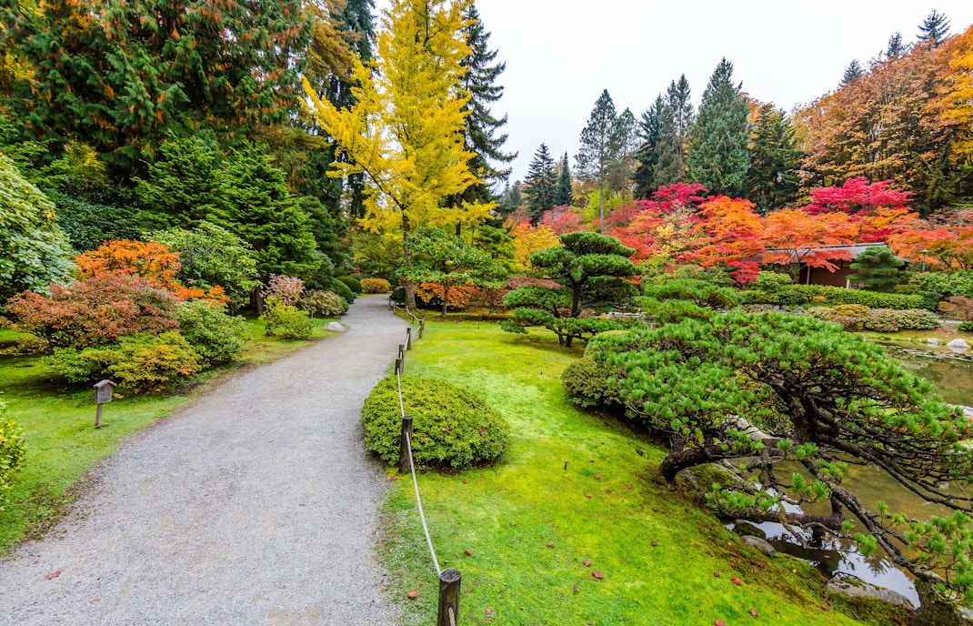 Pathway through vibrant autumn foliage at Green Lake Park, Seattle.