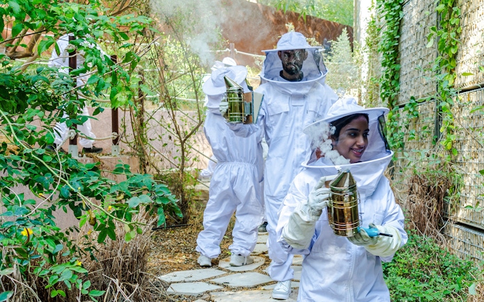 Beekeepers in protective suits using smokers at Terra, Expo City Dubai.
