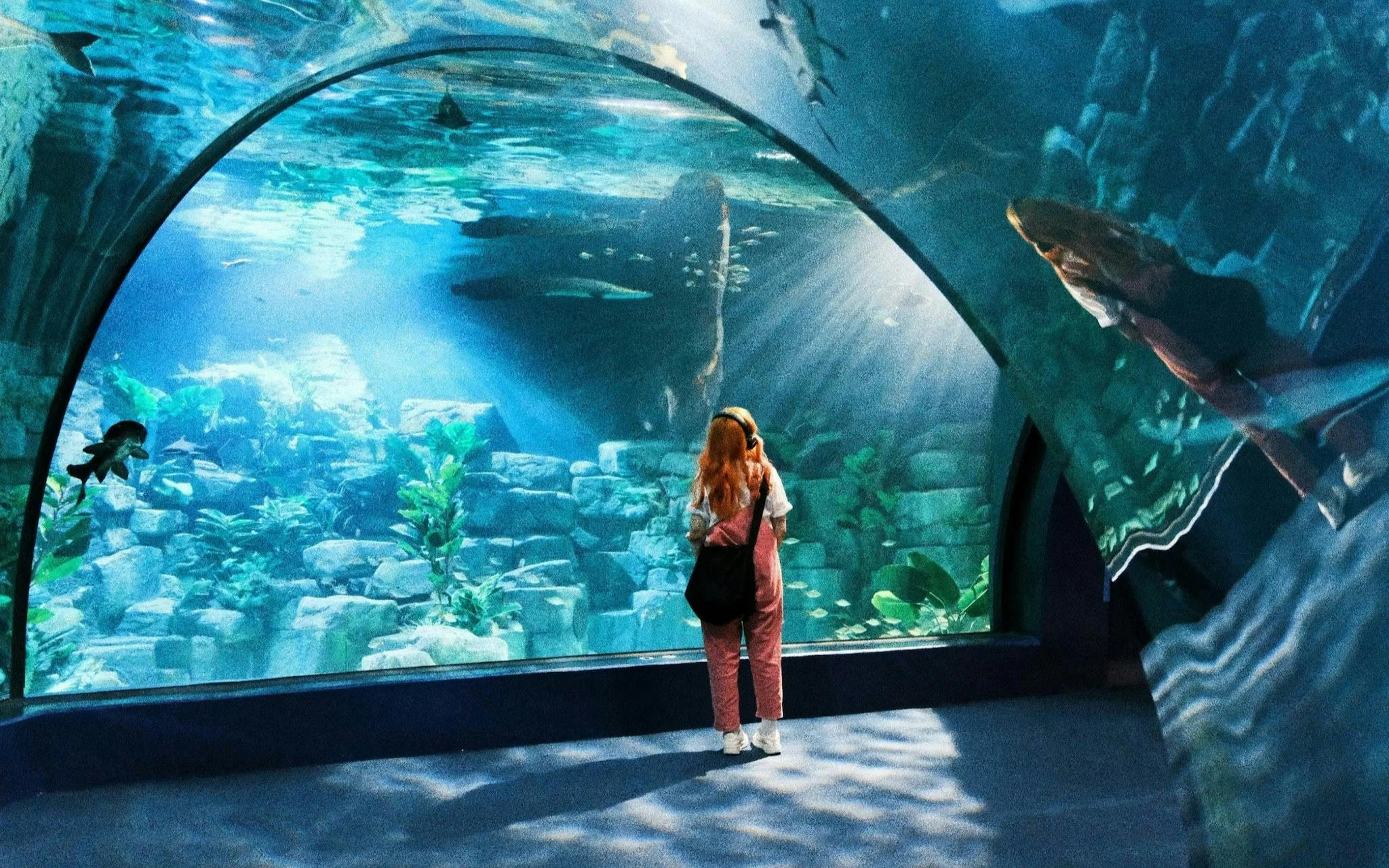 Underwater tunnel