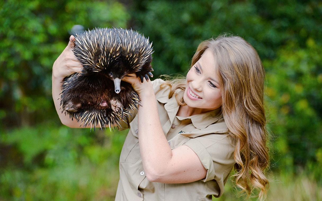 Irwin family member holding an echidna at Australia Zoo.