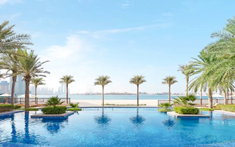 Swimming pool with palm trees at Fairmont Hotel overlooking the city skyline.