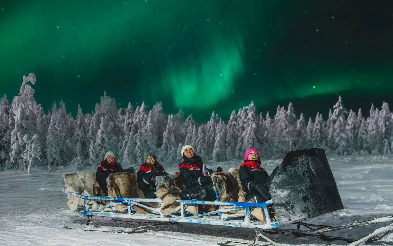 hunting northern lights with sleigh ride-1