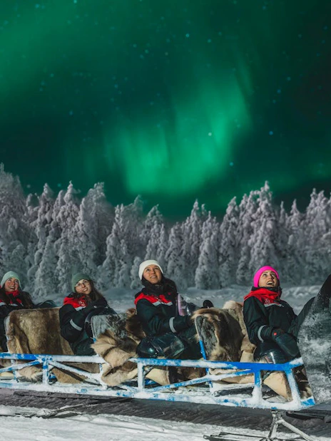 hunting northern lights with sleigh ride-1
