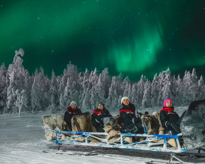 Hunting Northern Lights with Sleigh Ride