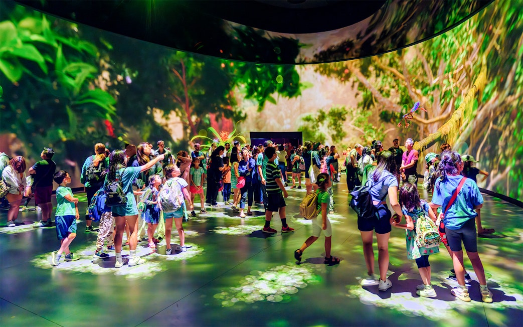 Visitors exploring the immersive Invisible Worlds Exhibit at the American Museum of Natural History.