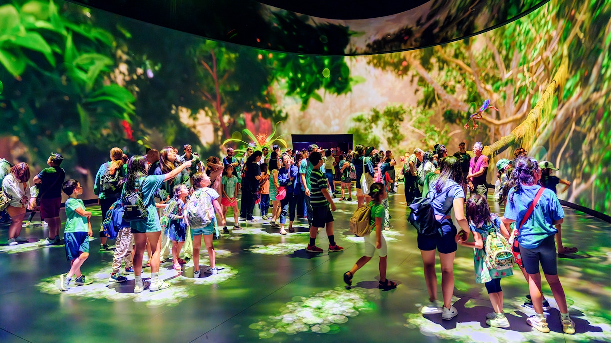 Invisible Worlds Exhibit at American Museum of Natural History showcasing vibrant marine life.