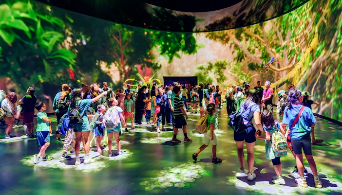 Invisible Worlds Exhibit at American Museum of Natural History showcasing vibrant marine life.