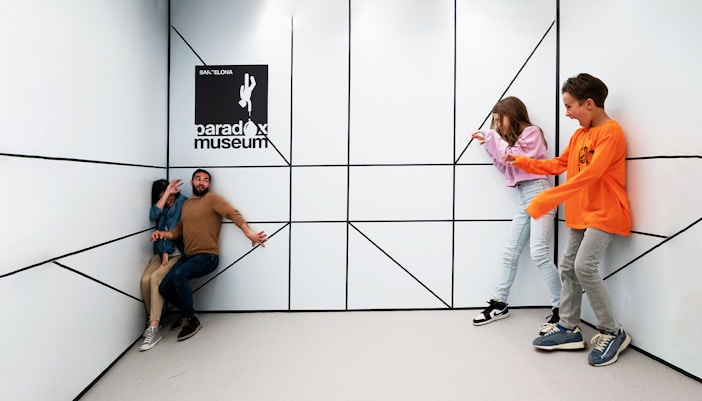 The Ames Room