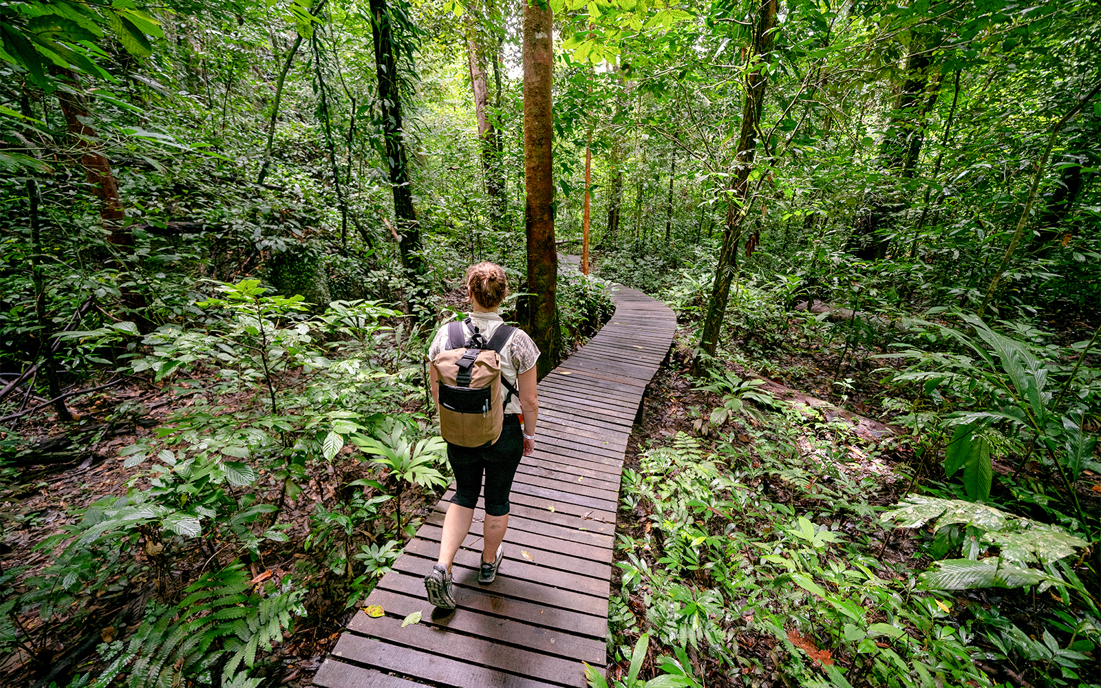 Payah Indah Discovery Wetlands
