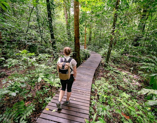 Payah Indah Discovery Wetlands