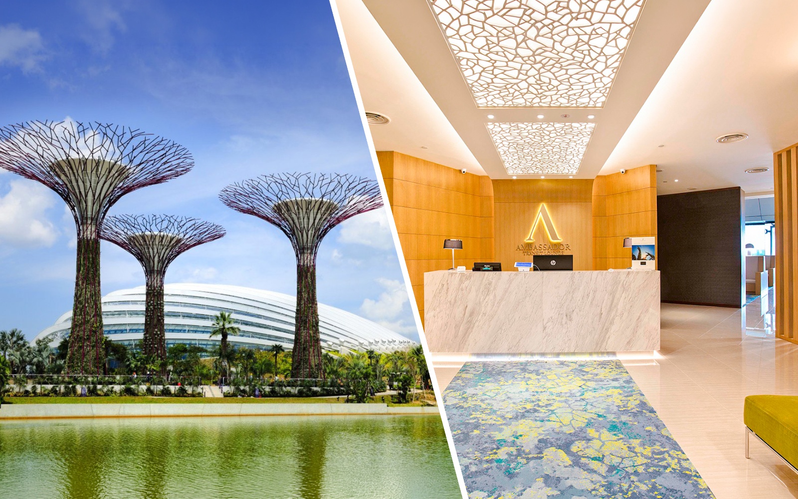 Ambassador Transit Lounge reception at Changi Airport, Singapore with Supertree Grove view.