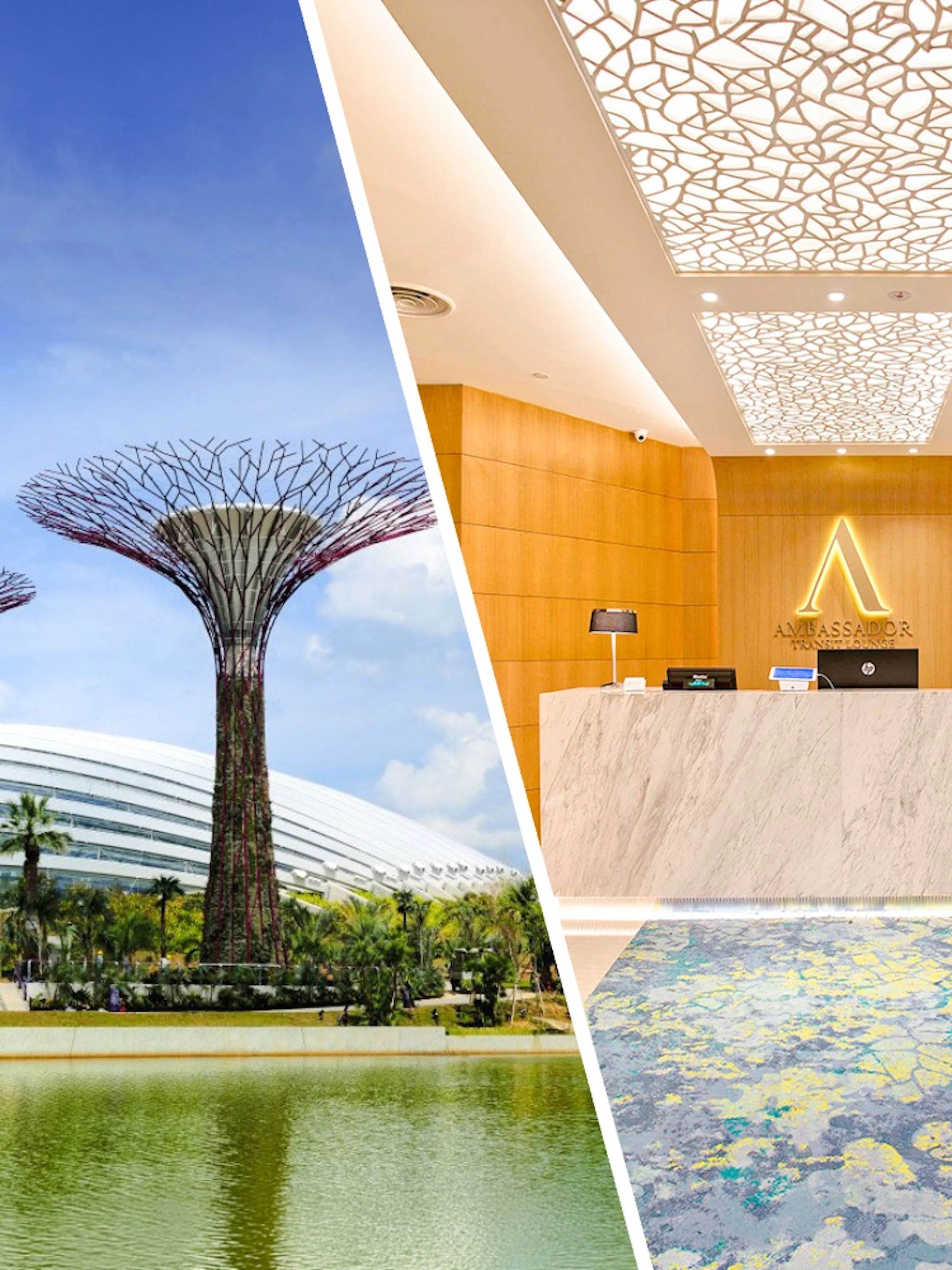 Ambassador Transit Lounge reception at Changi Airport, Singapore with Supertree Grove view.