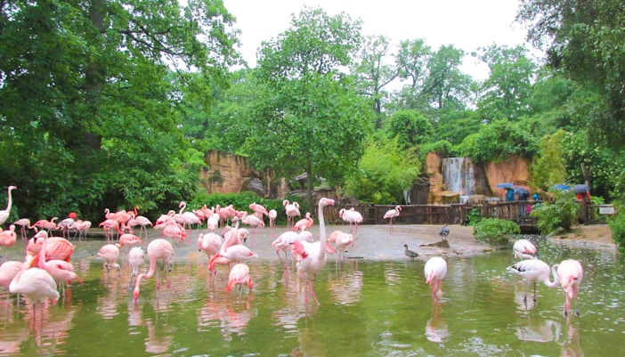 zoo leipzig