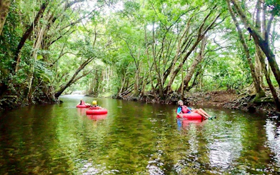 River Tubing Cairns: Tour di mezza giornata