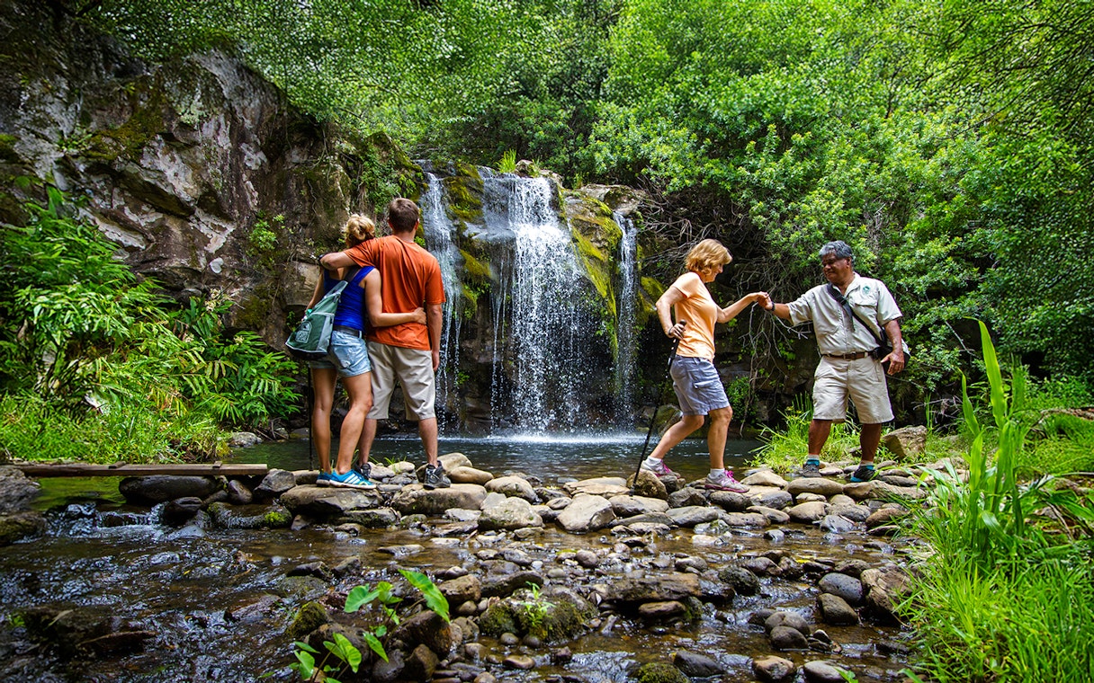 Guests enjoying a waterfall on the Kohala Zip & Dip tour in lush greenery.