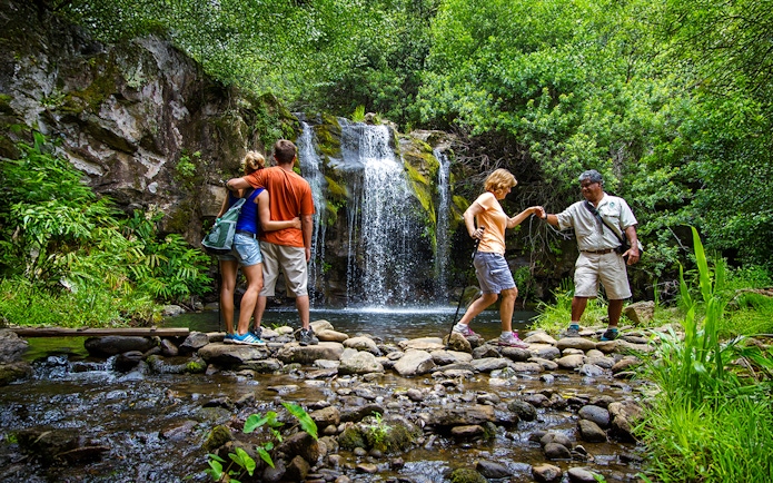 Guests enjoying a waterfall on the Kohala Zip & Dip tour in lush greenery.
