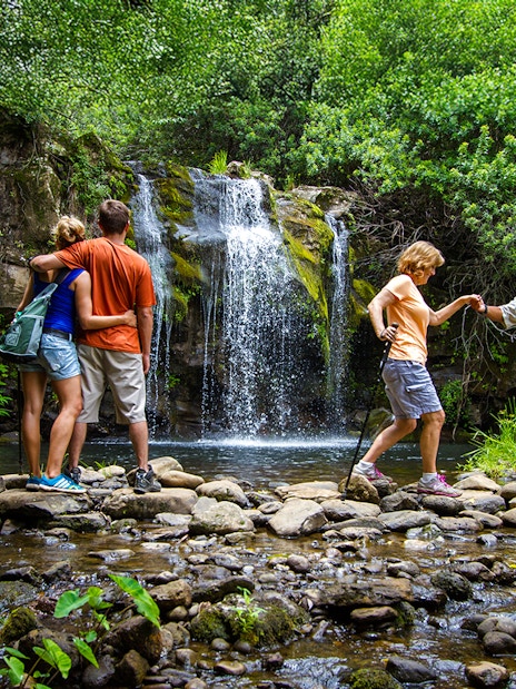 Guests enjoying a waterfall on the Kohala Zip & Dip tour in lush greenery.