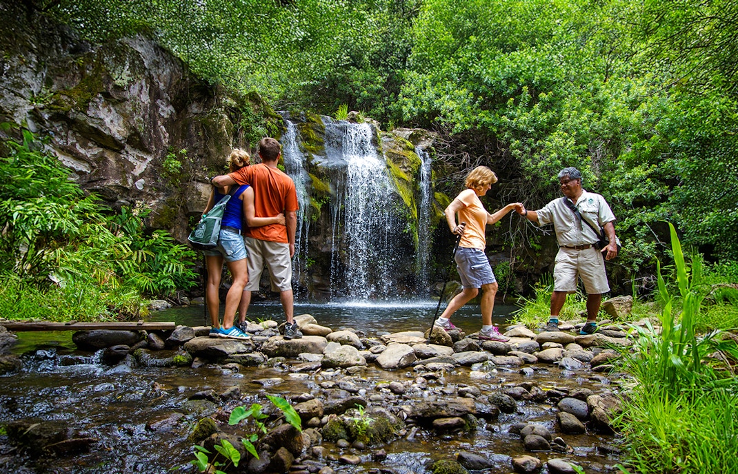 Guests enjoying a waterfall on the Kohala Zip & Dip tour in lush greenery.