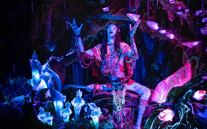 Na’vi Shaman animatronic on Na’vi River Journey ride, Pandora, Disney's Animal Kingdom, Orlando.