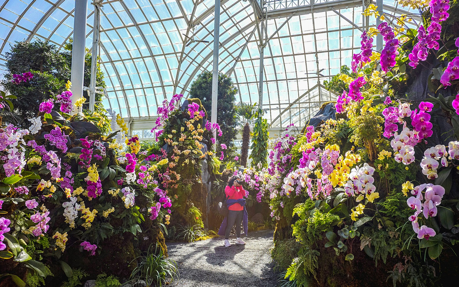 Inside New York Botanical Garden