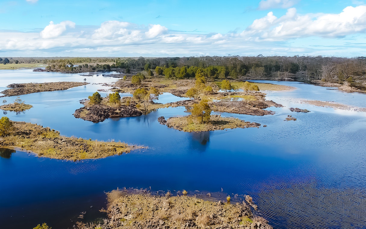 Wetlands landscape with scattered trees and water channels, Tae Rak Guided Cultural Walk.