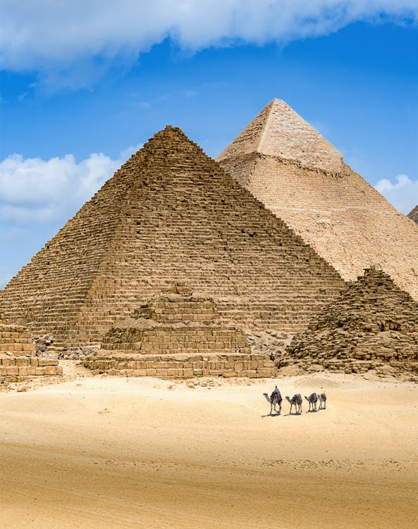 Pyramids of Giza with camels in the foreground, Egypt.