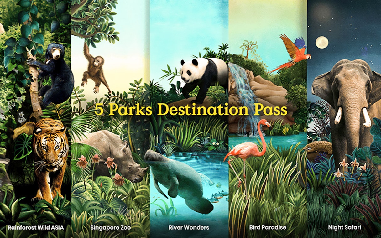 Collage of animals from Rainforest Wild Asia, Singapore Zoo, River Wonders, Bird Paradise, and Night Safari.