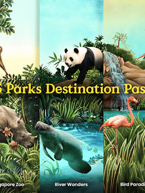 Collage of animals from Rainforest Wild Asia, Singapore Zoo, River Wonders, Bird Paradise, and Night Safari.