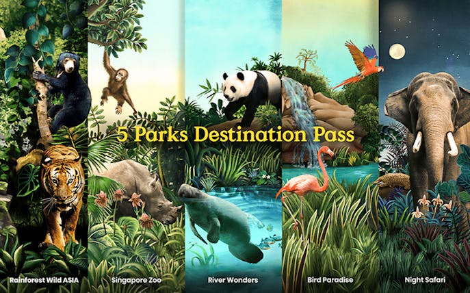 Collage of animals from Rainforest Wild Asia, Singapore Zoo, River Wonders, Bird Paradise, and Night Safari.