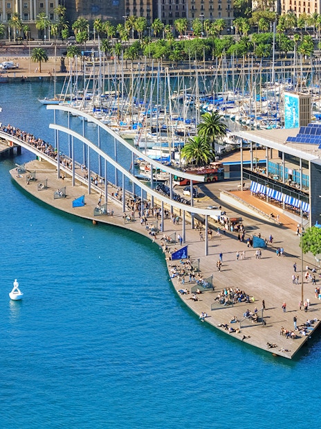 Aerial view of Barcelona's Port Vell with boats and promenade near Montjuic cable car station.