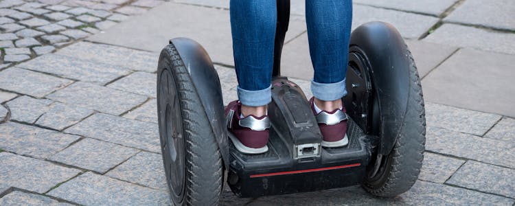 Leeds castle highlights