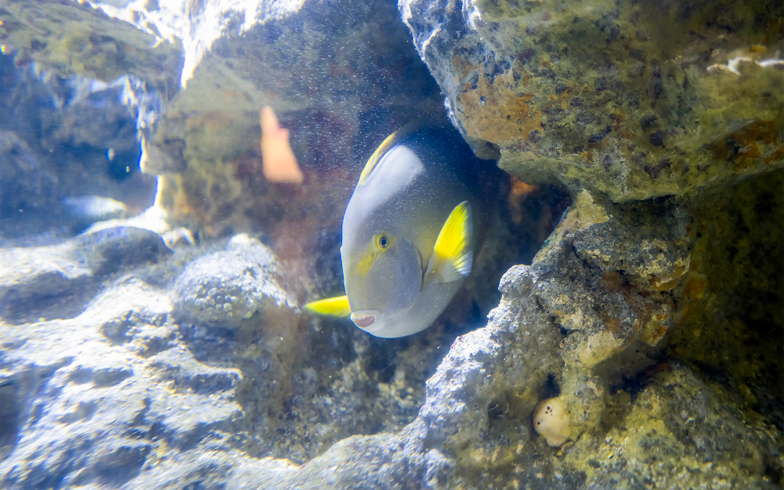 Genoa Aquarium - Tropical Forest