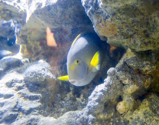 Genoa Aquarium - Tropical Forest