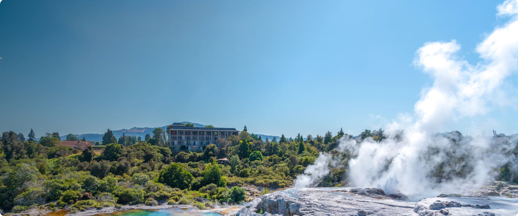 Geothermal steam rising in Rotorua with lush greenery and a building in the background.