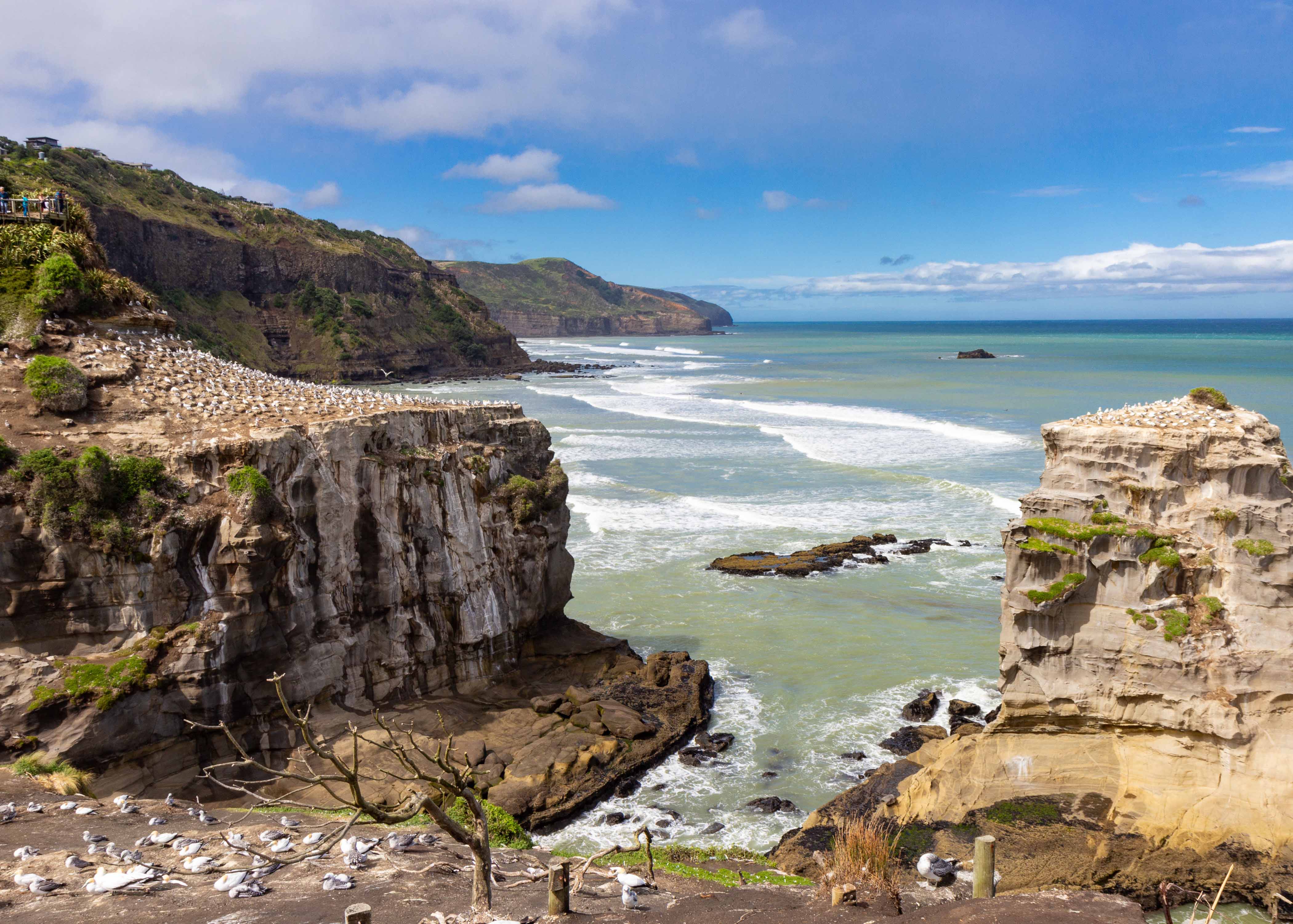 Day Trips from Auckland