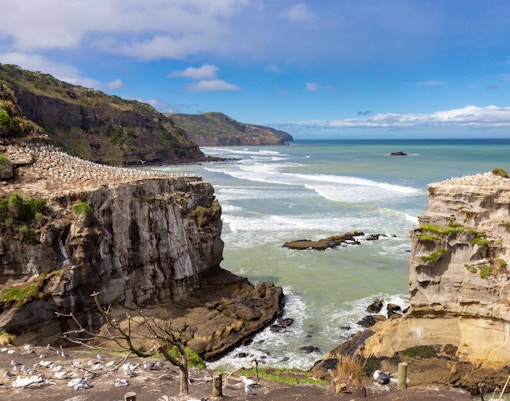 Day Trips from Auckland