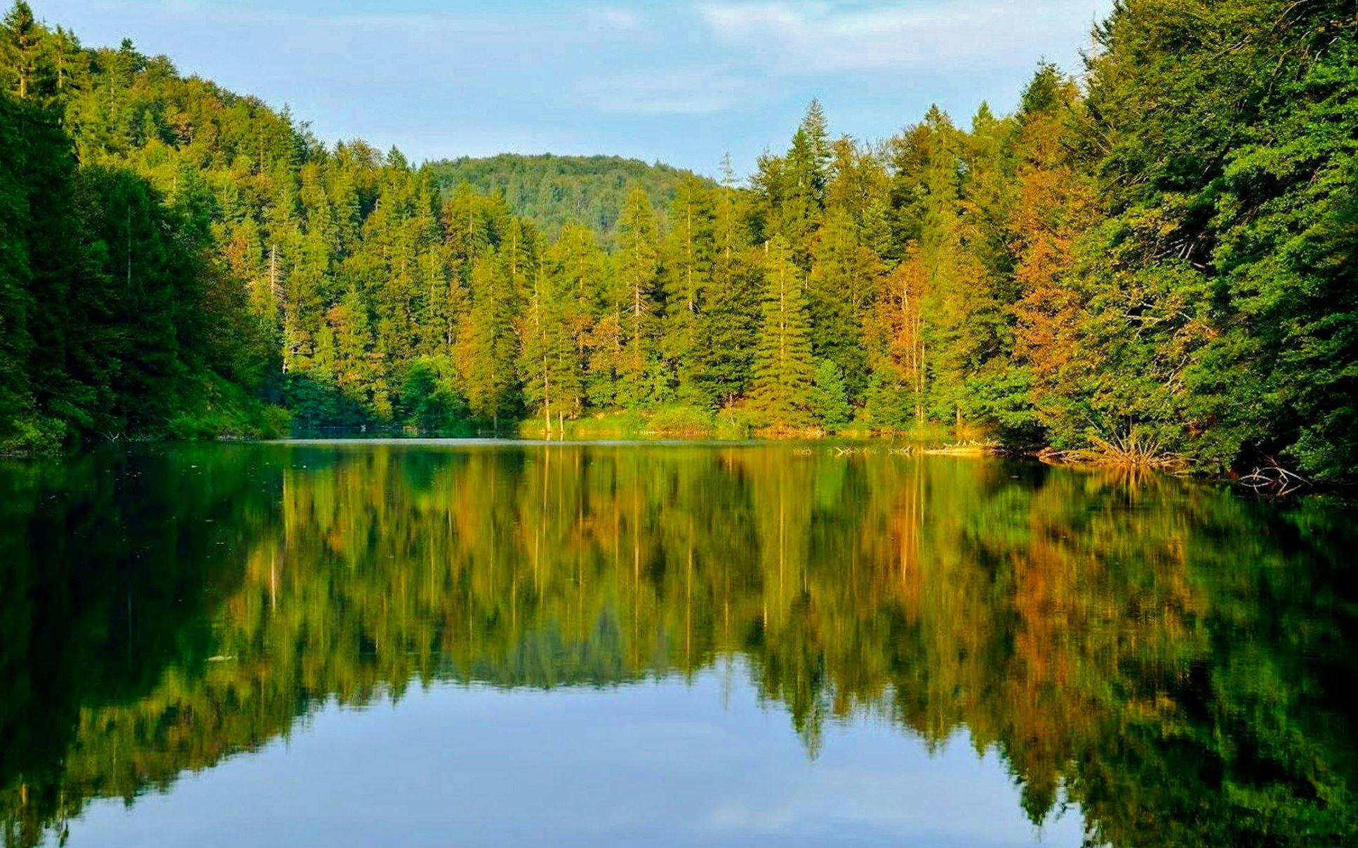 Plitvice Lakes National Park with forest reflection on water during Split to Zagreb transfer.