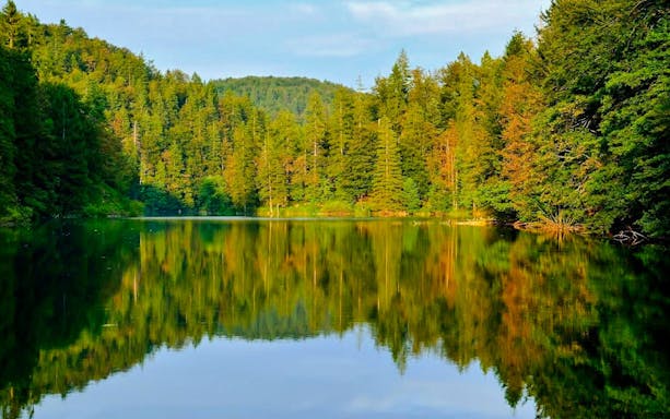 Plitvice Lakes National Park with forest reflection on water during Split to Zagreb transfer.