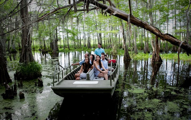 Boat tour through New Orleans swamp with group exploring cypress trees.