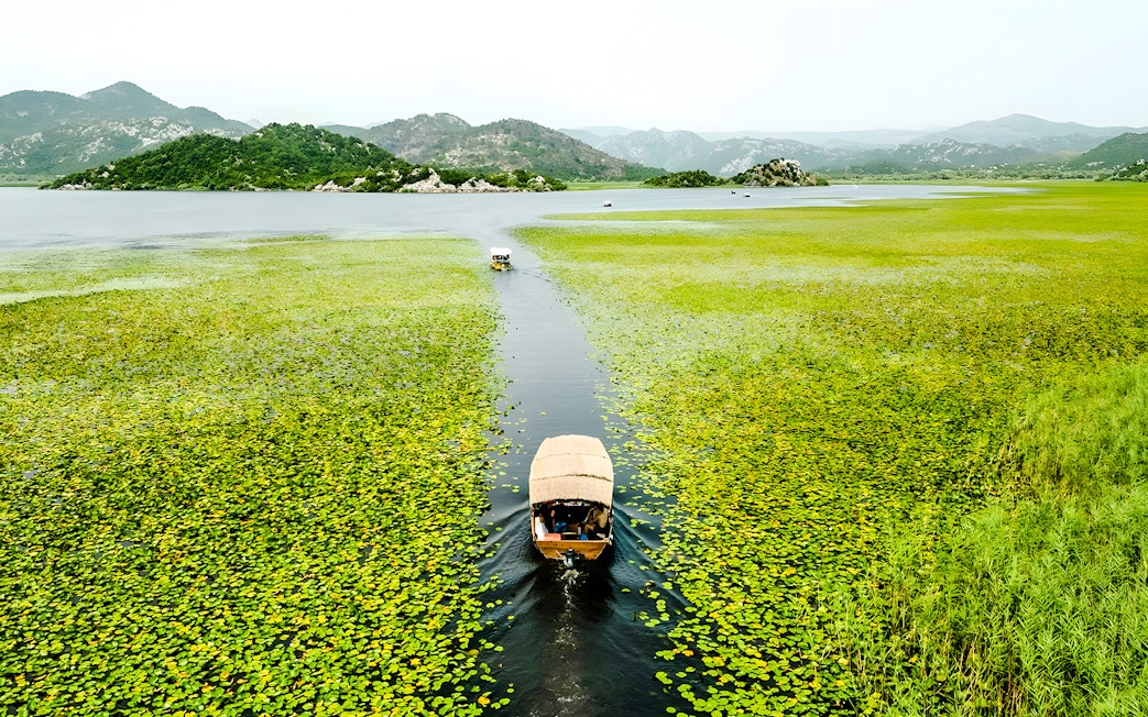 Wooden boat on Lake Skadar during guided sightseeing tour, surrounded by lush greenery.